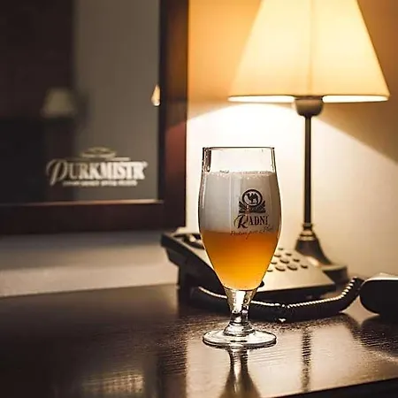 Hotel Purkmistr Beer &