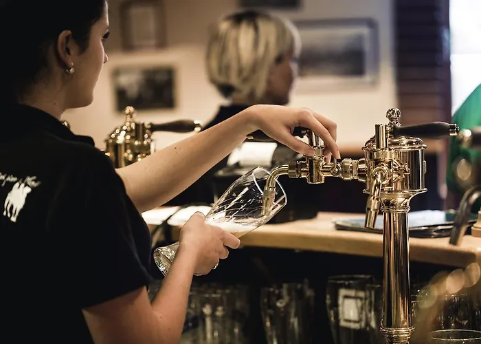 Purkmistr Beer & 4* Plzeň