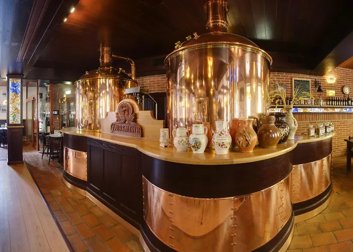 Purkmistr Beer & Plzeň